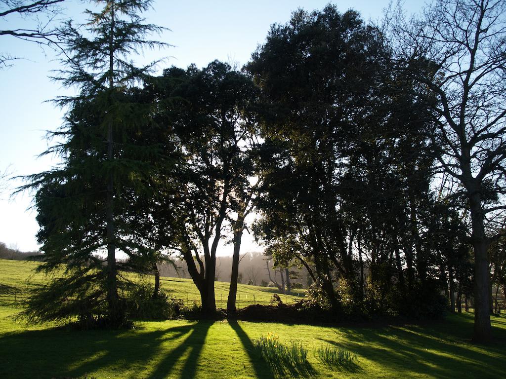 The Mount Somerset Taunton Exteriér fotografie